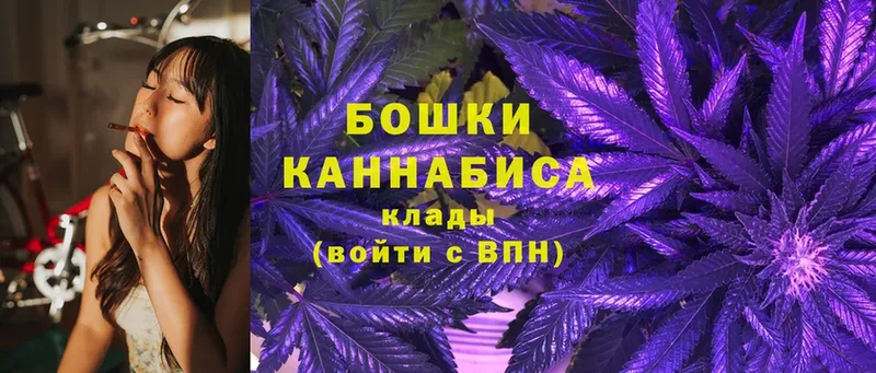 Бошки Шишки OG Kush  магазин продажи   Малая Вишера 